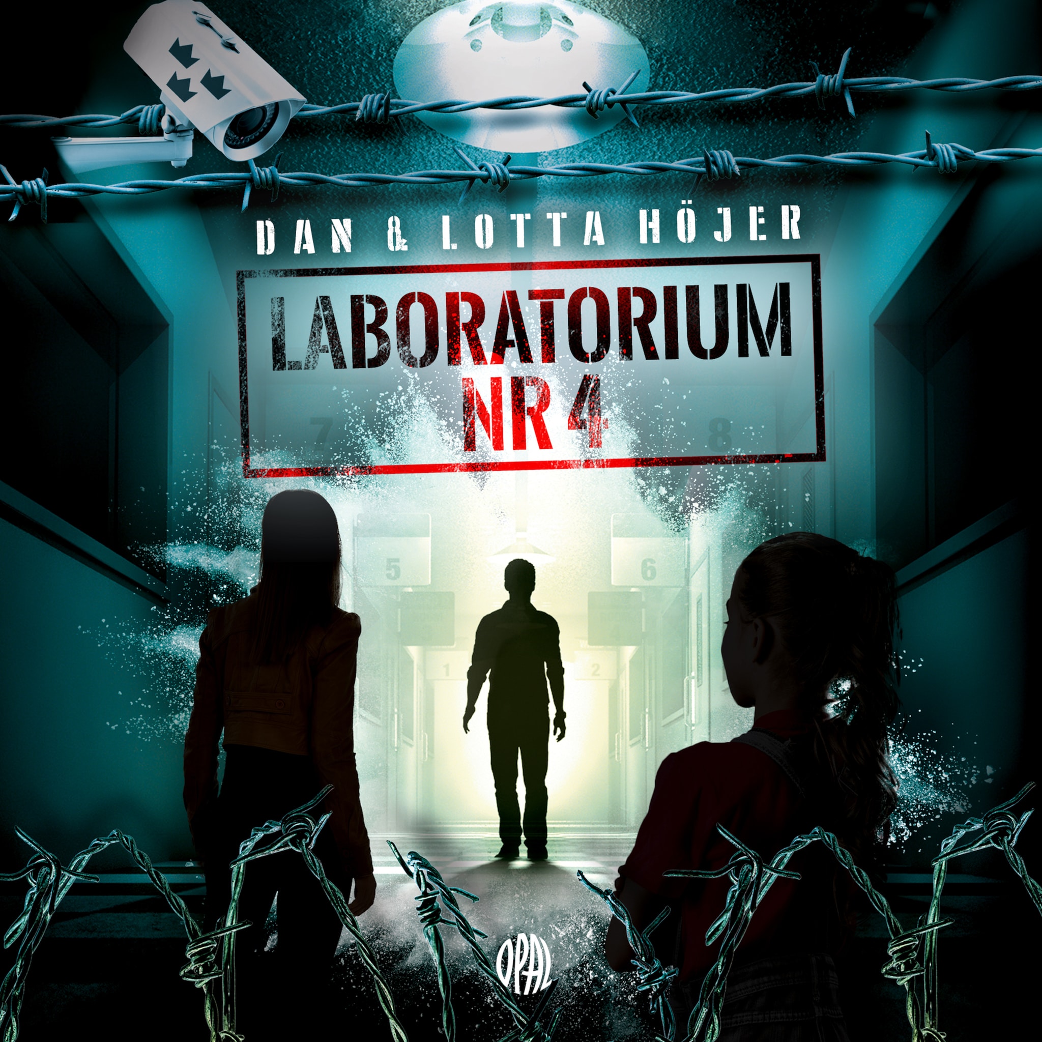 Laboratorium nr 4 : Hemligt område