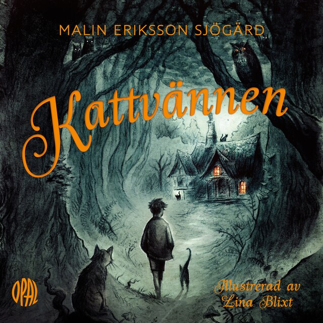 Couverture de livre pour Kattvännen