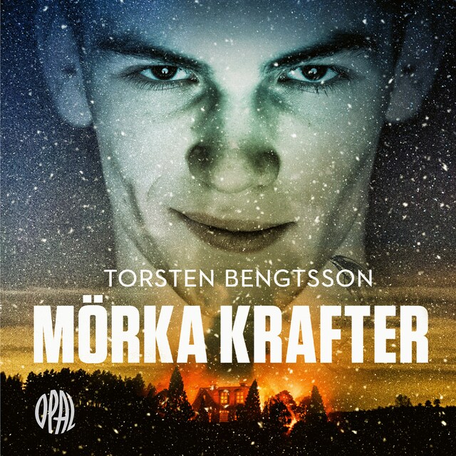 Book cover for Mörka krafter