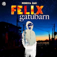 Felix gatubarn