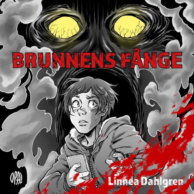 Buchcover für Brunnens fånge