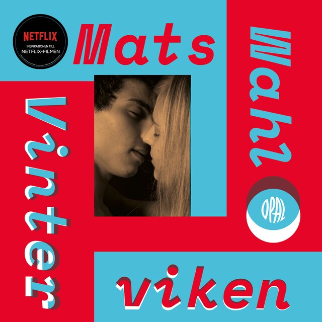 Book cover for Vinterviken