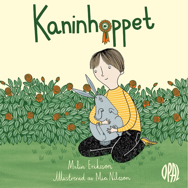 Book cover for Kaninhoppet