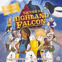 Det stora tågäventyret - Tjuven på Highland Falcon