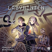 Labyrinten