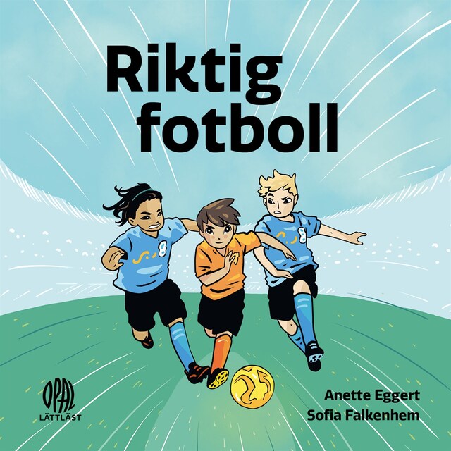 Book cover for Riktig fotboll