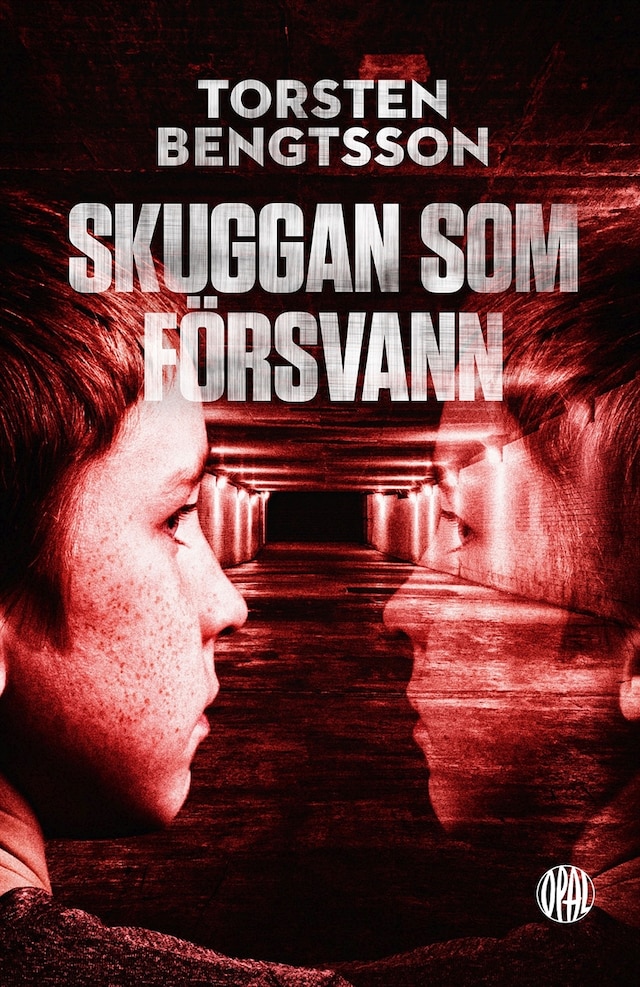 Book cover for Skuggan som försvann
