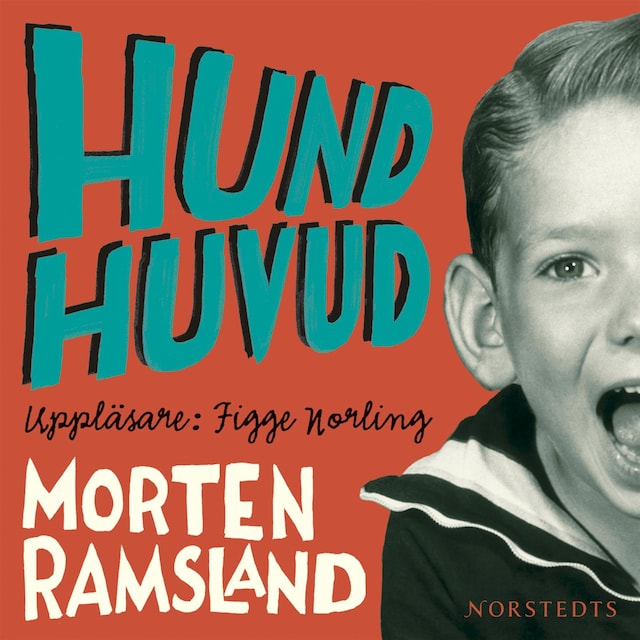 Book cover for Hundhuvud
