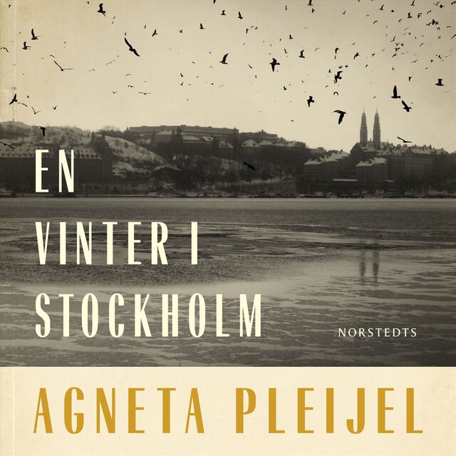 Copertina del libro per En vinter i Stockholm