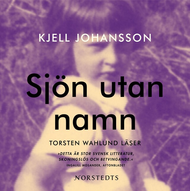 Book cover for Sjön utan namn
