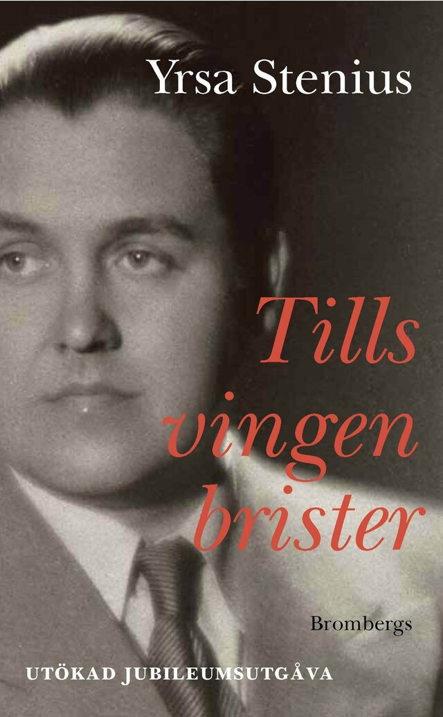 Book cover for Tills vingen brister