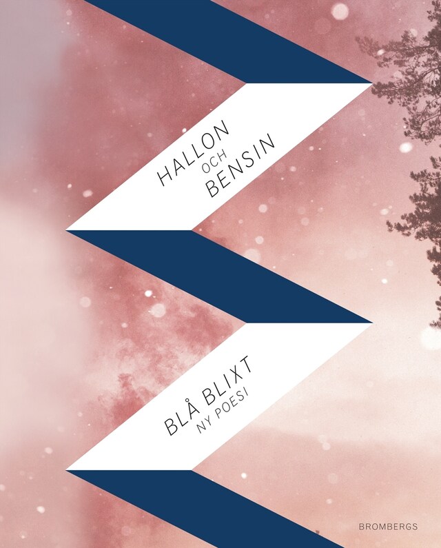 Couverture de livre pour Hallon och bensin