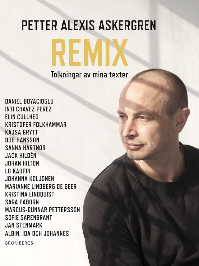 Buchcover für Remix