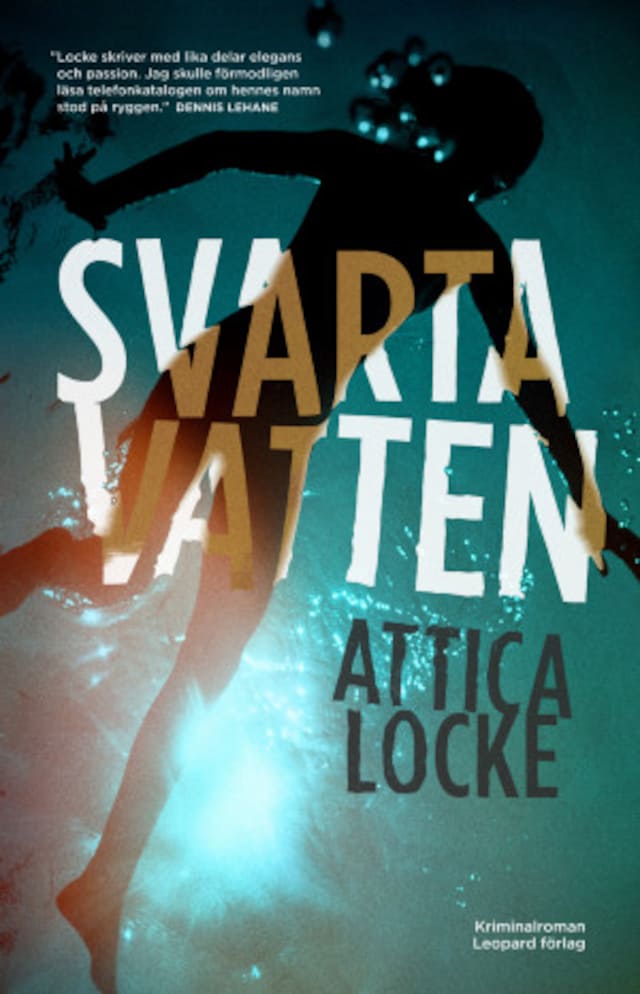 Book cover for Svarta vatten