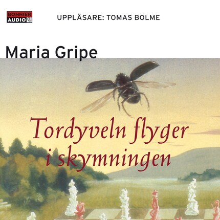 Tordyveln flyger i skymningen bookCoverFor