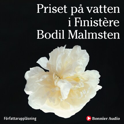 Priset på vatten i Finistère bookCoverFor
