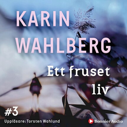 Ett fruset liv bookCoverFor