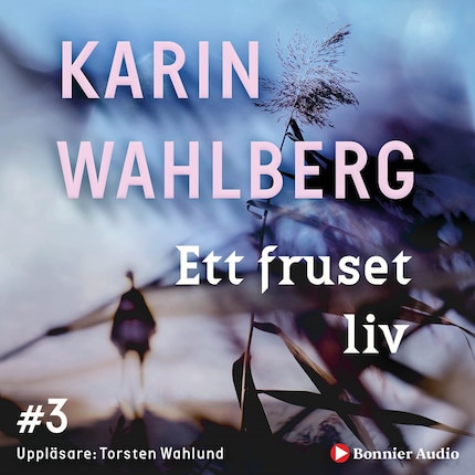 Ett fruset liv bookCoverFor