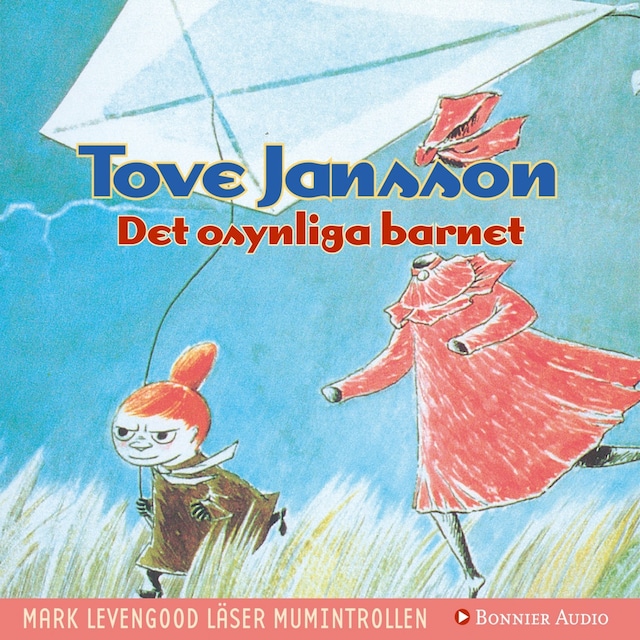 Copertina del libro per Det osynliga barnet