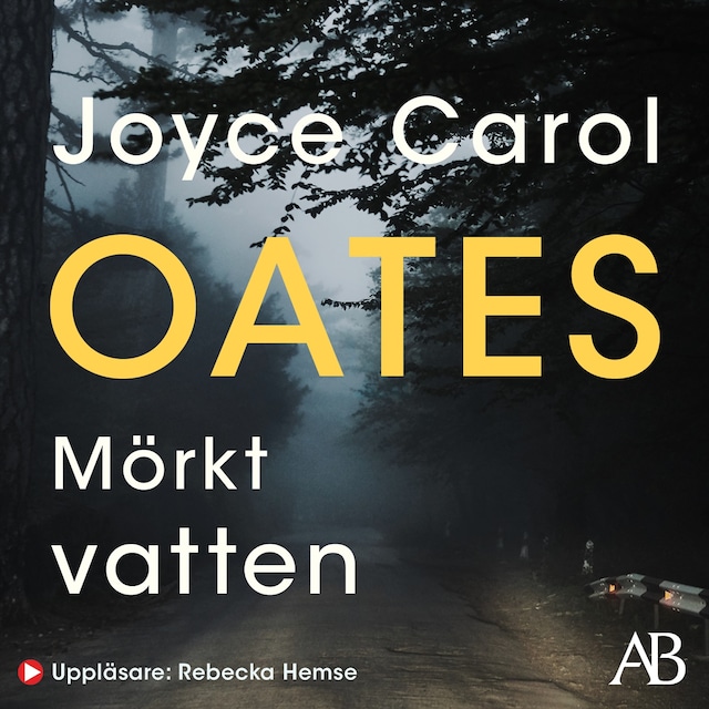 Couverture de livre pour Mörkt vatten