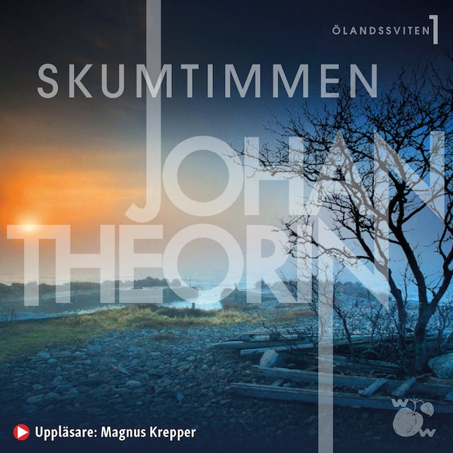 Book cover for Skumtimmen