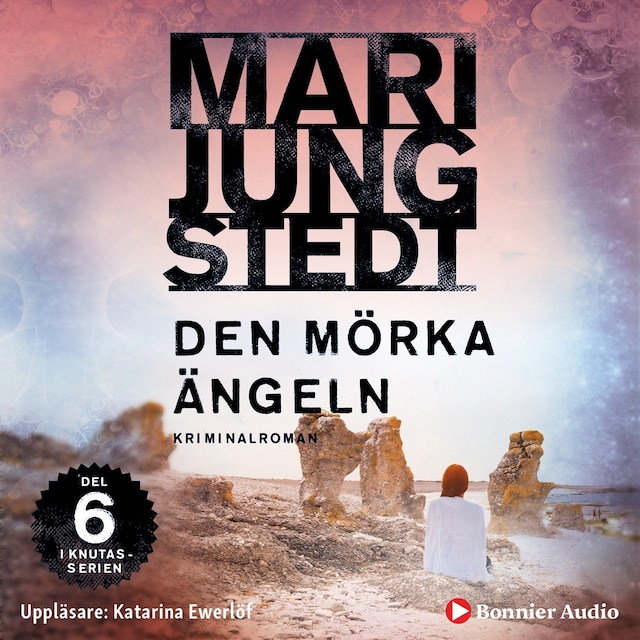 Book cover for Den mörka ängeln