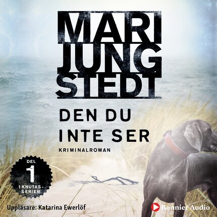 Den du inte ser bookCoverFor