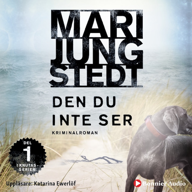 Couverture de livre pour Den du inte ser