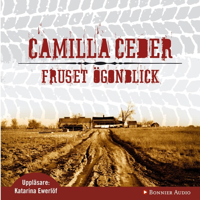 Book cover for Fruset ögonblick