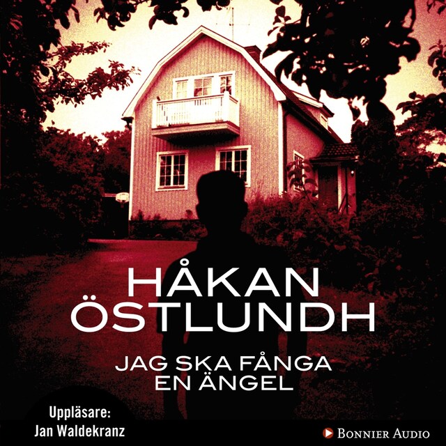 Book cover for Jag ska fånga en ängel