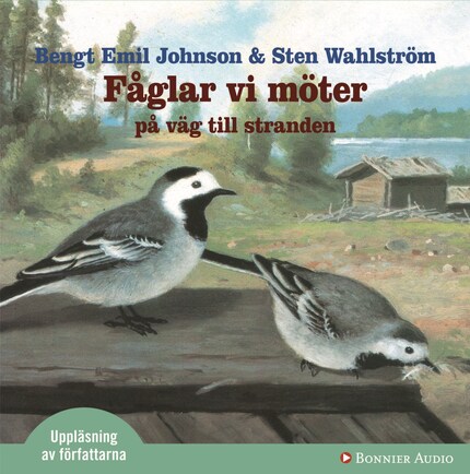 Fåglar vi möter på väg mot stranden bookCoverFor