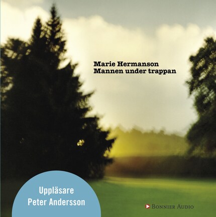 Mannen under trappan bookCoverFor