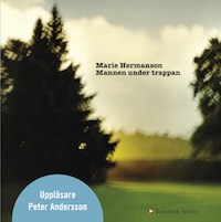 Mannen under trappan