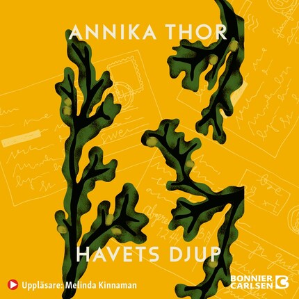 Havets djup bookCoverFor