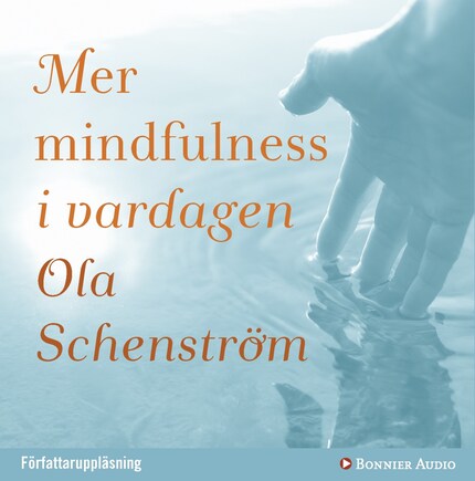 Mer mindfulness i vardagen bookCoverFor