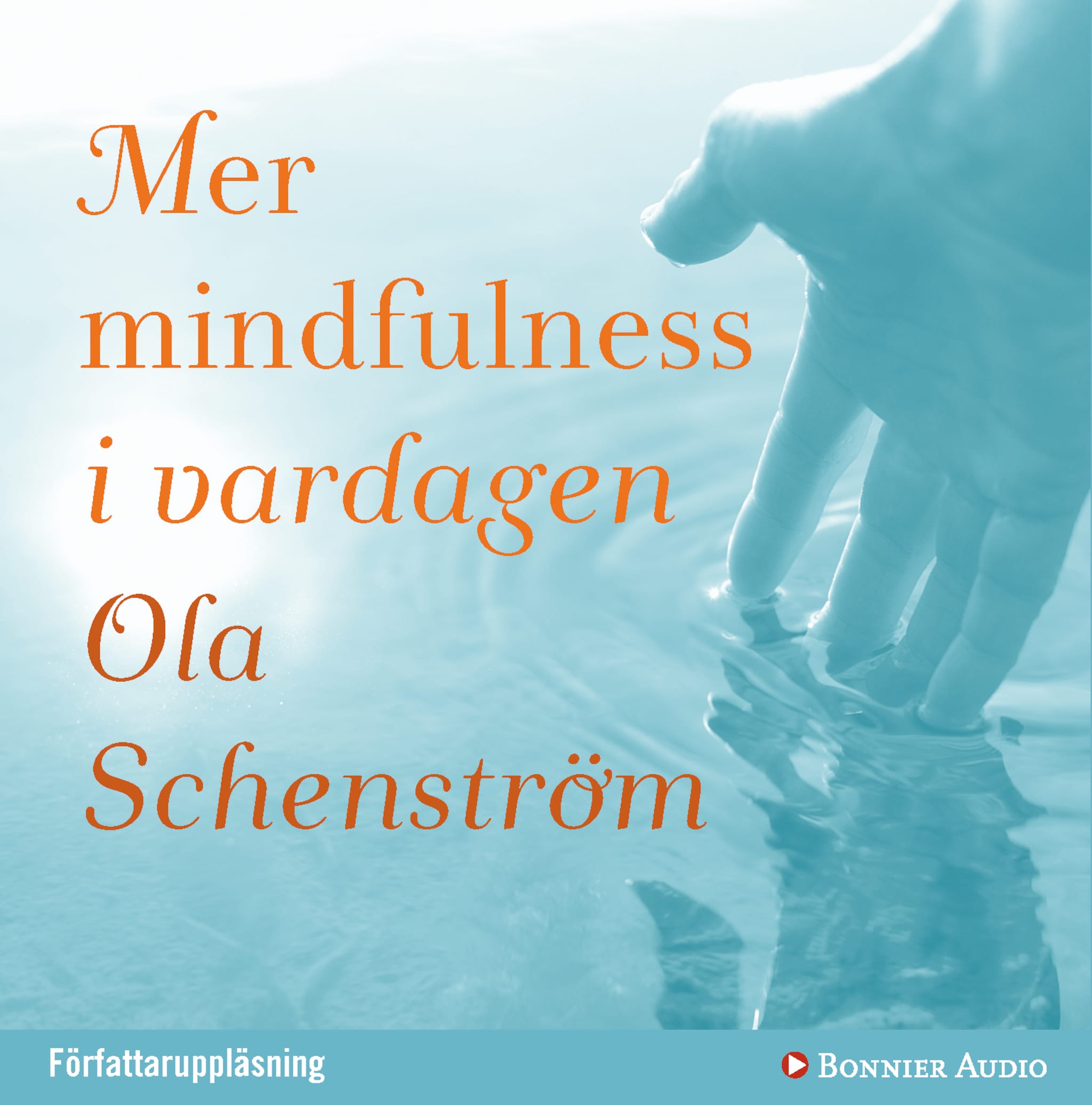 Mer mindfulness i vardagen