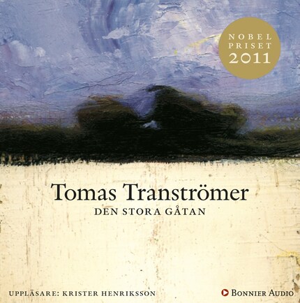 Den stora gåtan bookCoverFor