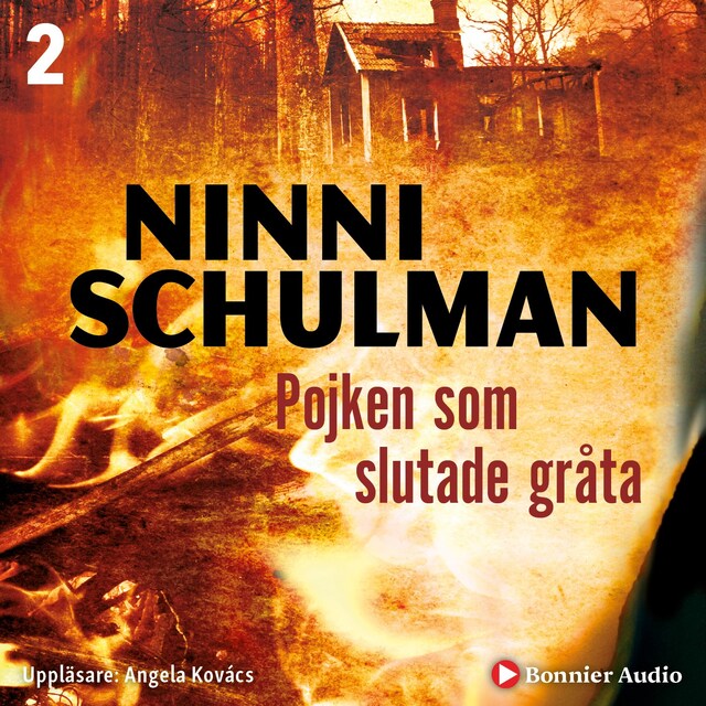 Book cover for Pojken som slutade gråta