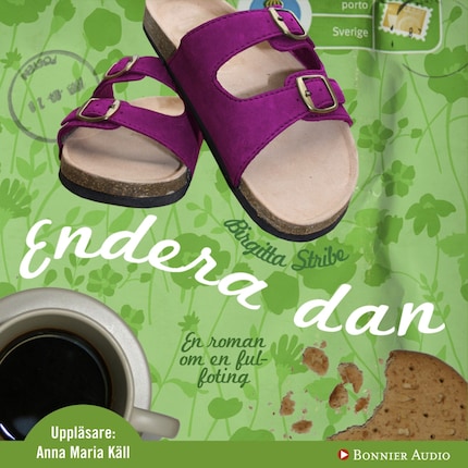 Endera dan : en roman om en fulfoting bookCoverFor