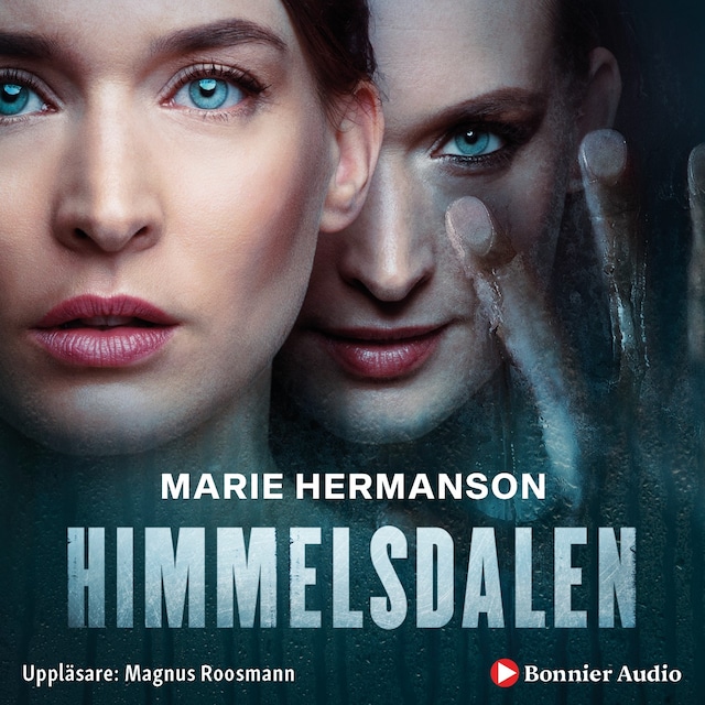 Book cover for Himmelsdalen