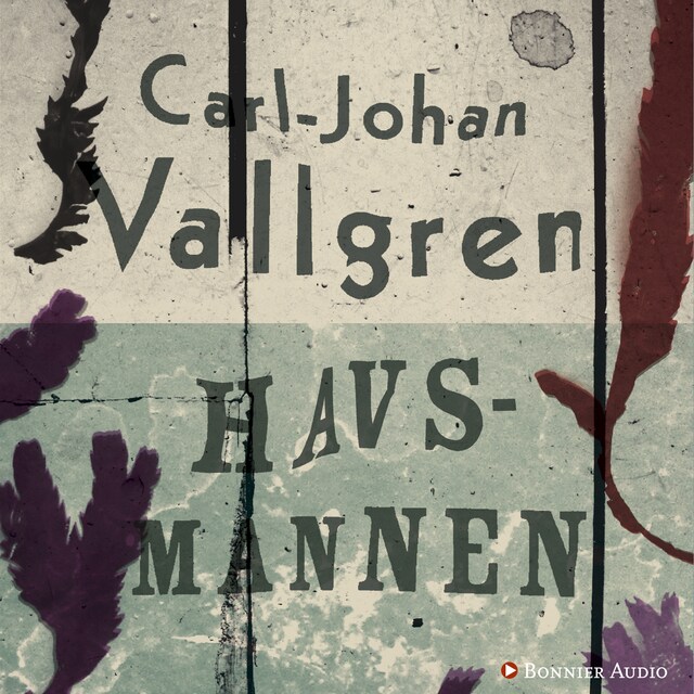 Book cover for Havsmannen