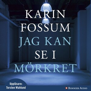 Jag kan se i mörkret bookCoverFor