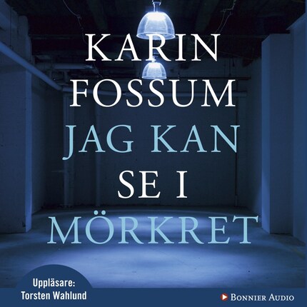 Jag kan se i mörkret bookCoverFor