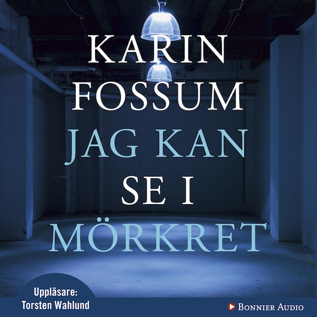 Bokomslag for Jag kan se i mörkret