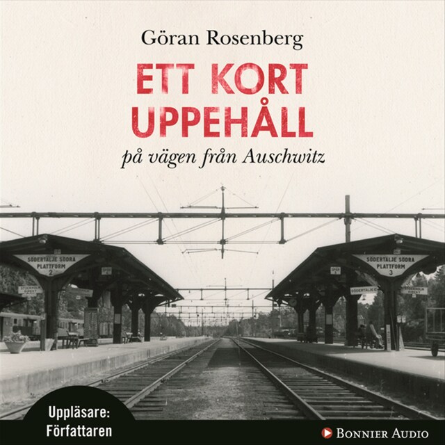 Book cover for Ett kort uppehåll på vägen från Auschwitz