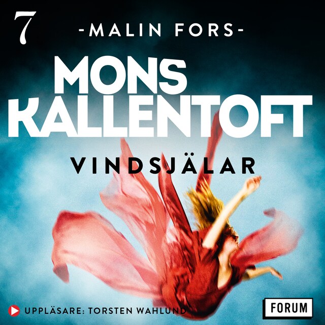Book cover for Vindsjälar