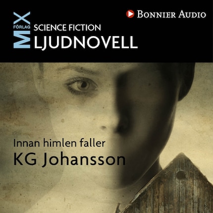 Innan himlen faller bookCoverFor