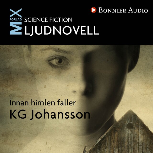 Book cover for Innan himlen faller