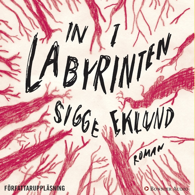 Portada de libro para In i labyrinten