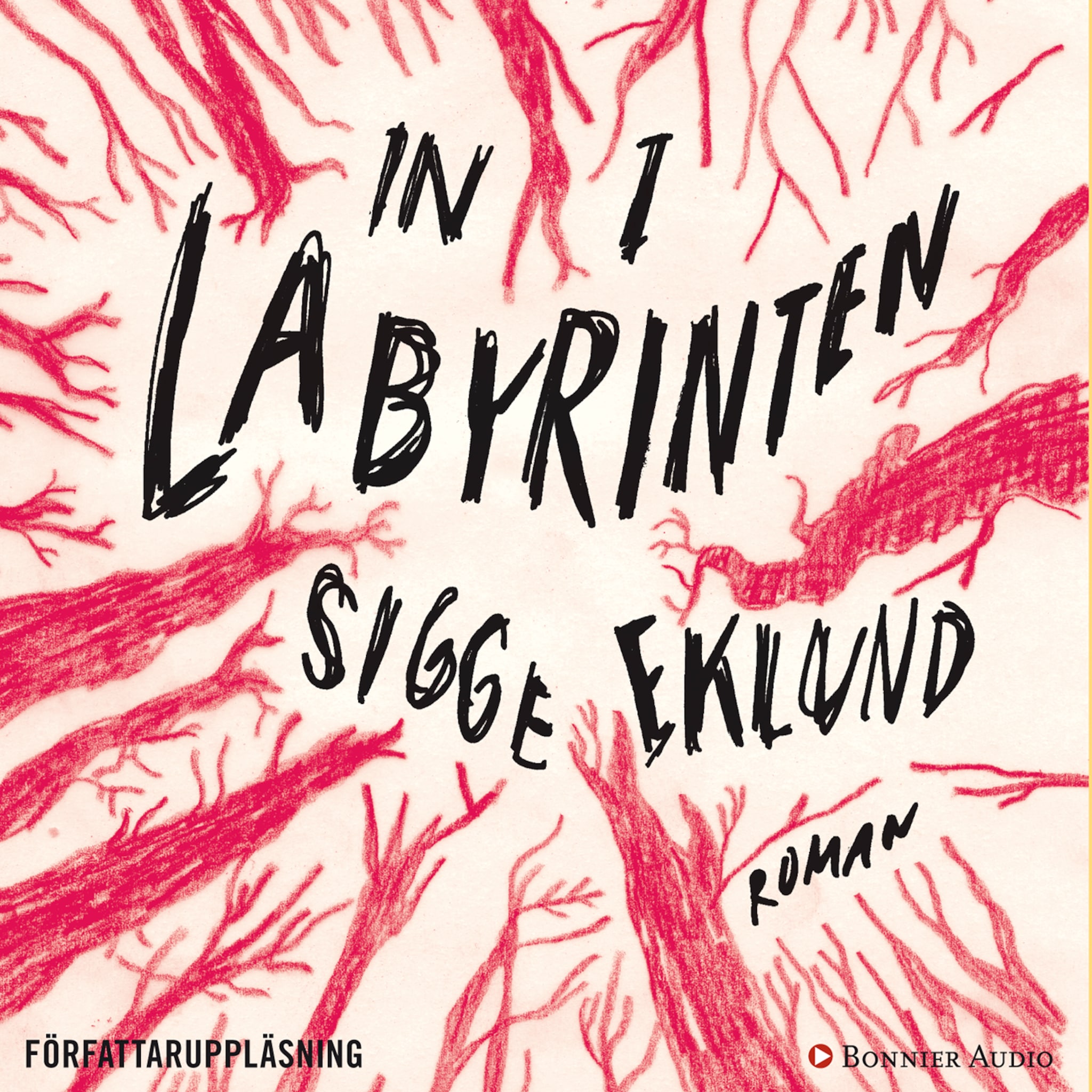 In i labyrinten